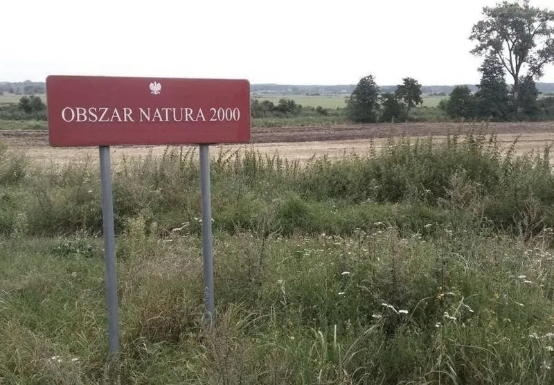 Budowa domu na terenach Natura 2000 – wyzwania i możliwości dla inwestorów