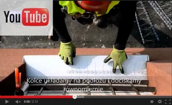 Ile kosztuje montaż kolców na ptaki? Przewodnik po cenach i usługach