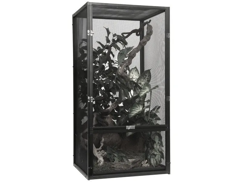 Jak stworzyć idealne terrarium dla kameleona – krok po kroku do sukcesu