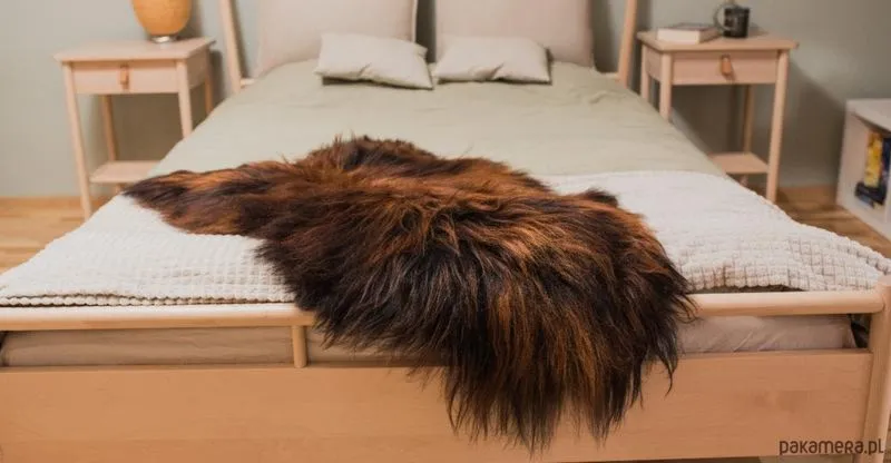 Najlepsze dywany na rynku – jaki dywan wybrać do swojego wnętrza?