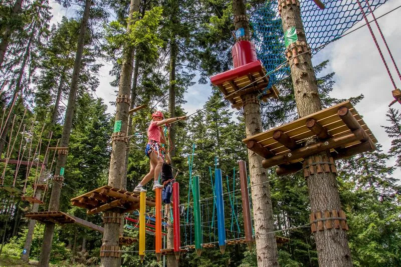 Wszystko, co musisz wiedzieć, aby stworzyć niesamowity park linowy