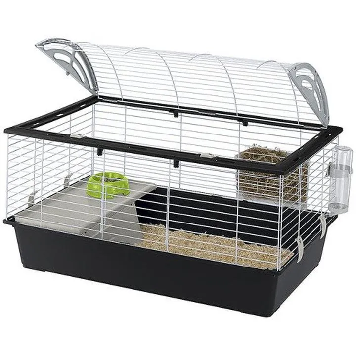 Budowa klatki dla świnki morskiej