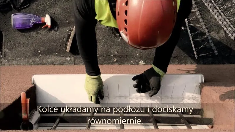 Koszty montażu kolców na ptaki