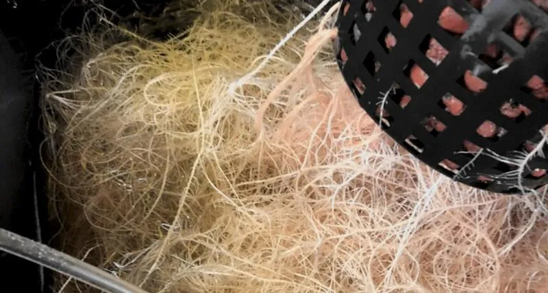 Kulturowe znaczenie wyboru lokalizacji