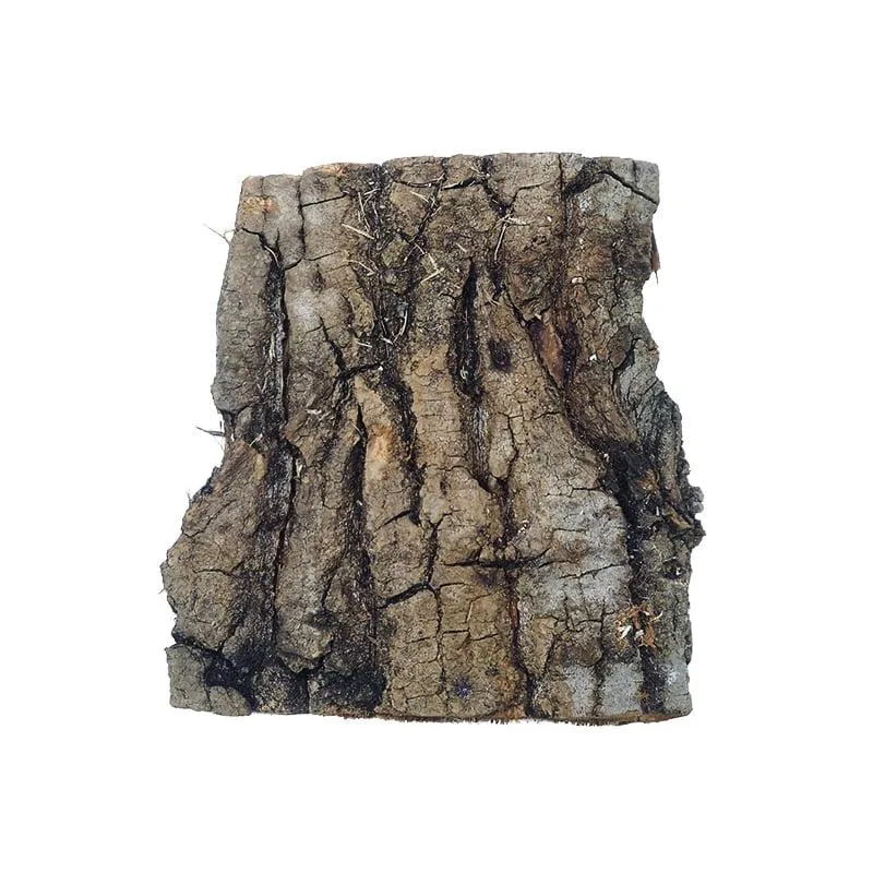 Obliczanie zapotrzebowania na korę