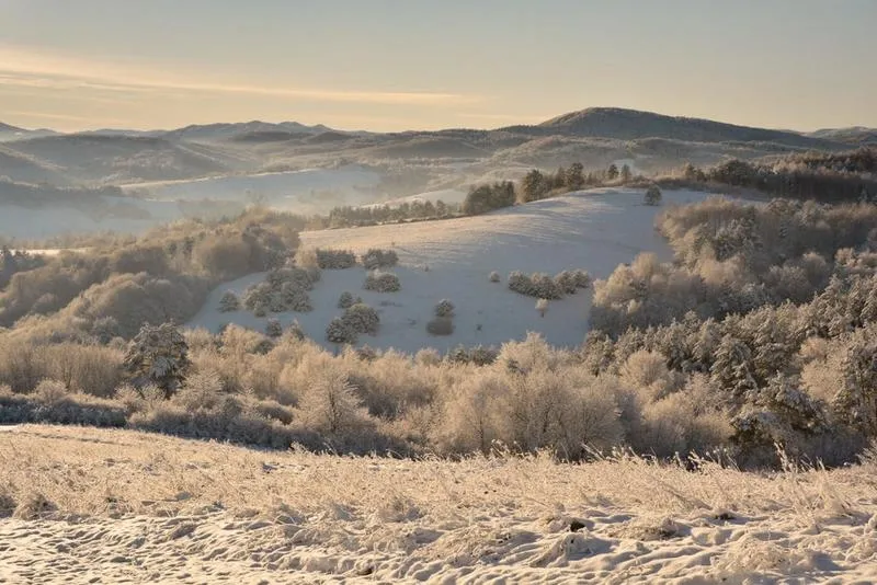 Ograniczenia w budowie na terenach chronionych