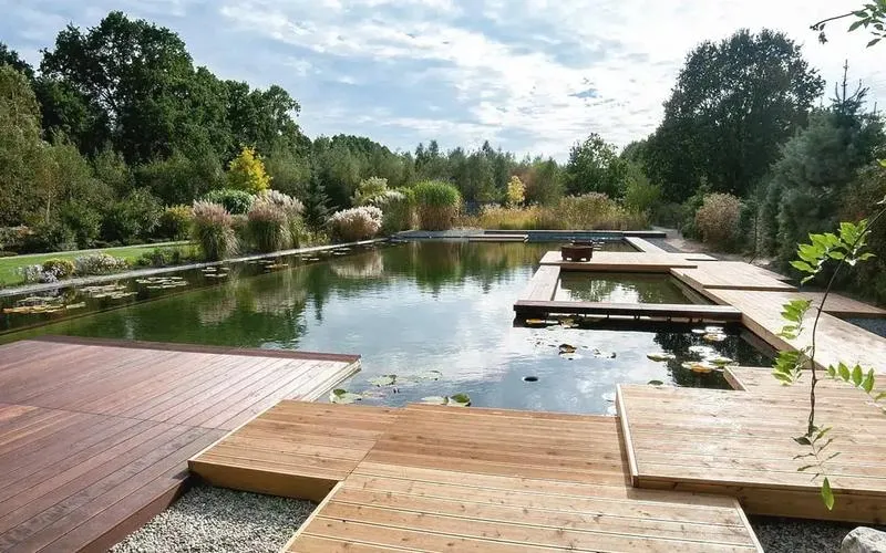 Rośliny do stawu kąpielowego