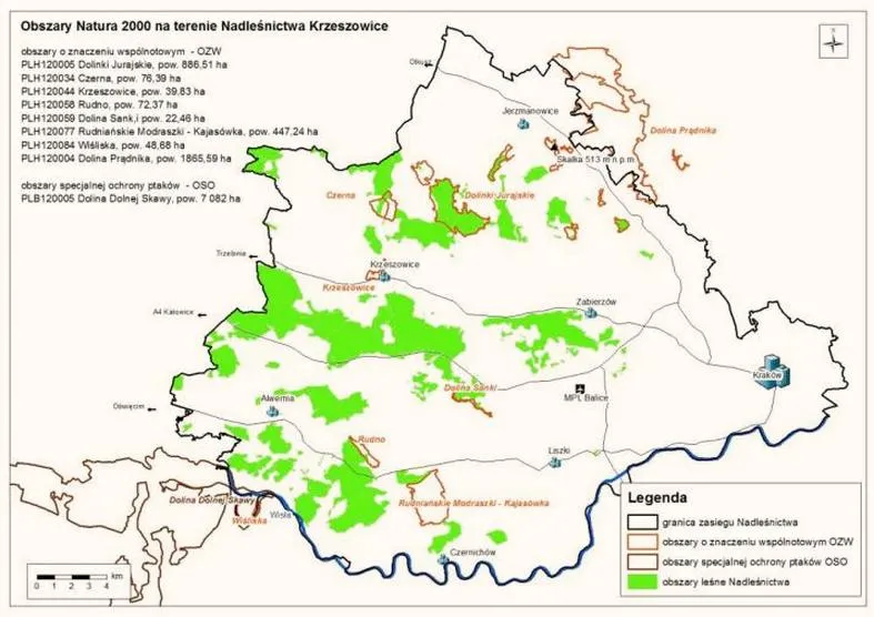 Wymagania formalne budowa