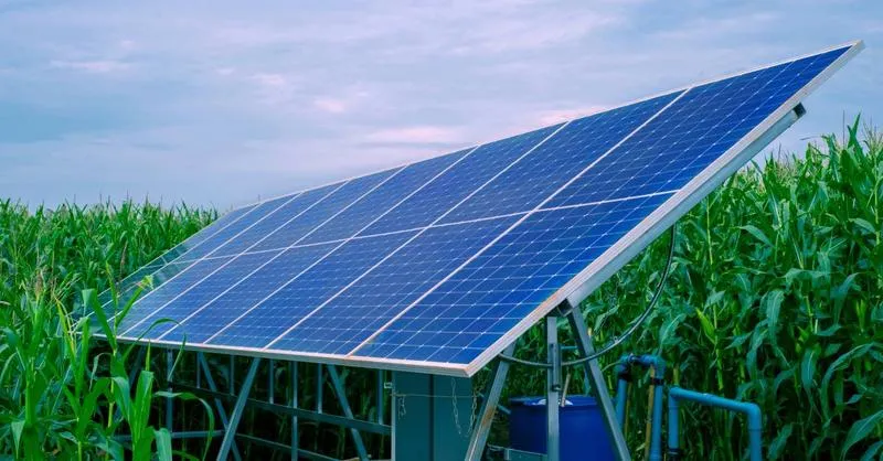 Zielona energia w nowoczesnym budownictwie